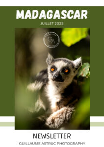 Lire la suite à propos de l’article Madagascar