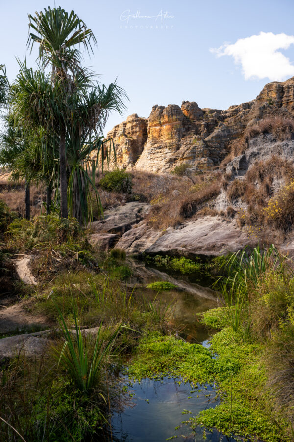 Oasis cachée au cœur du Parc national de l’Isalo