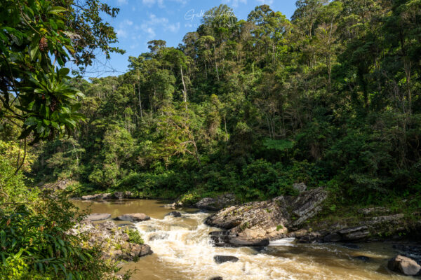 Ranomafana : joyaux vert de Madagascar