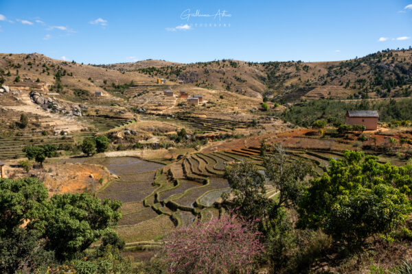 Terrasses d’or et d’eau – Hautes Terres de Madagascar