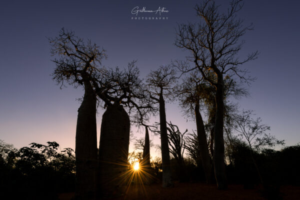 Les géants du crépuscule