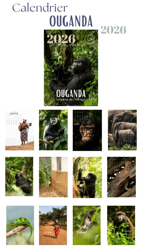 Calendrier 2026 « Ouganda : La perle de l’Afrique »
