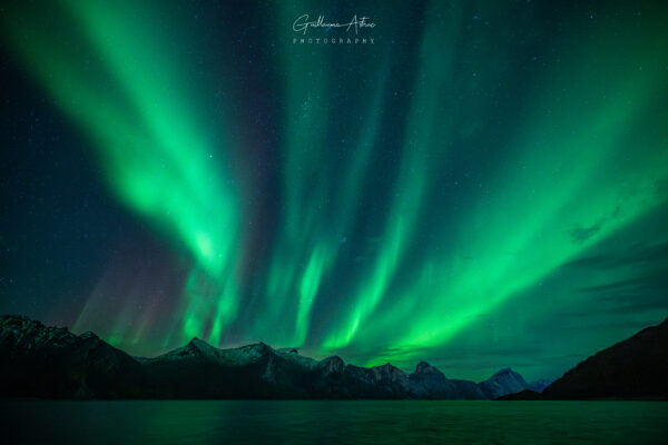 Chorégraphie arctique