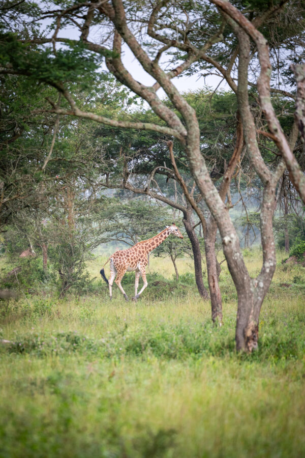 Élégance encadrée