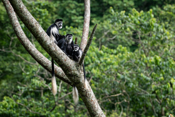 Regards vers l’horizon