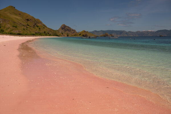 Rivage de corail