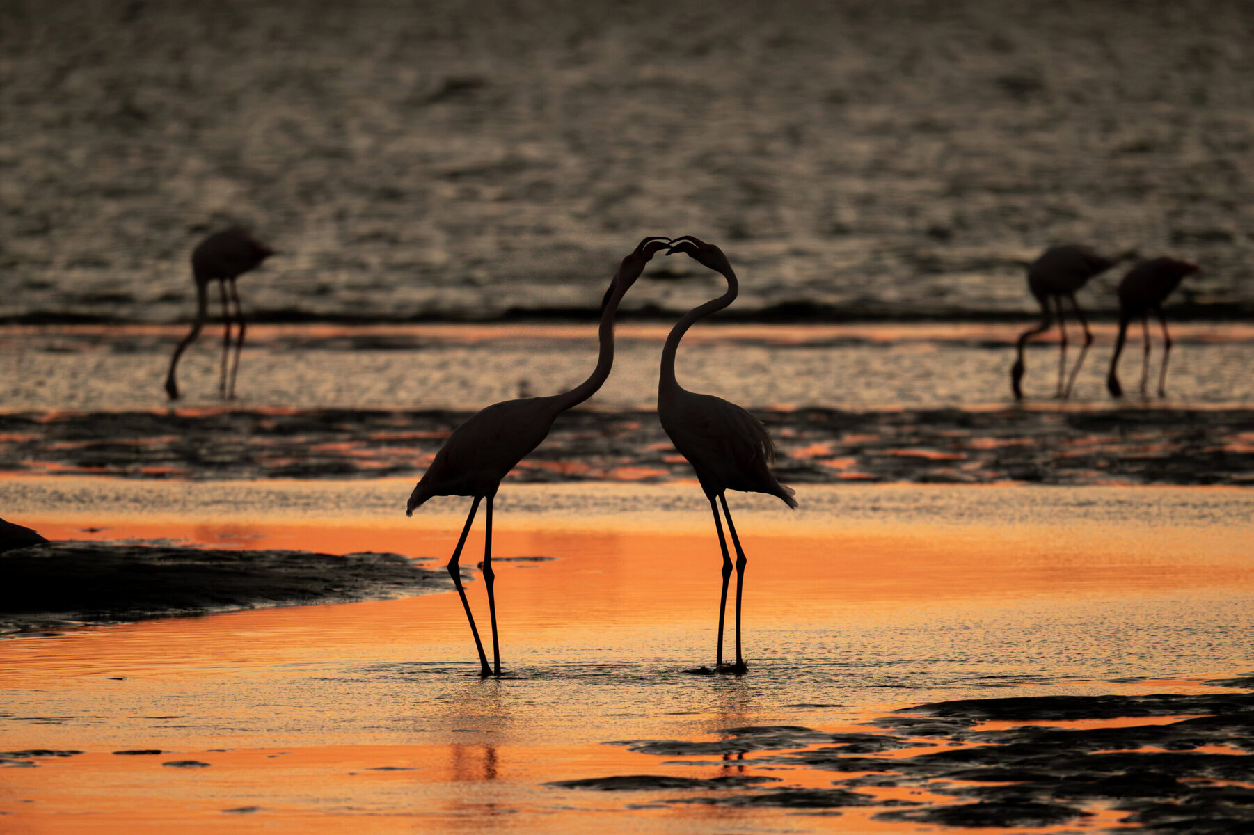 Silhouettes dorées