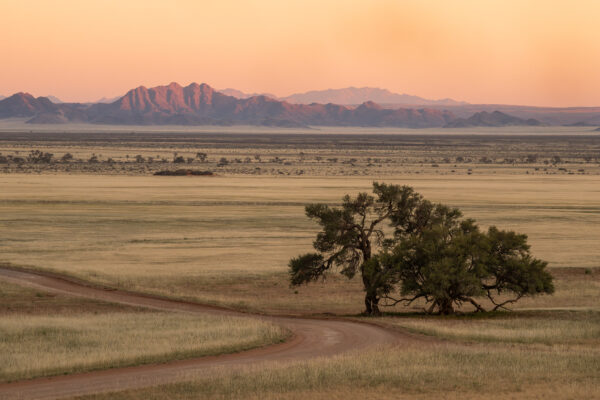 Horizons du Namib