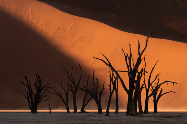 Les silhouettes de Deadvlei