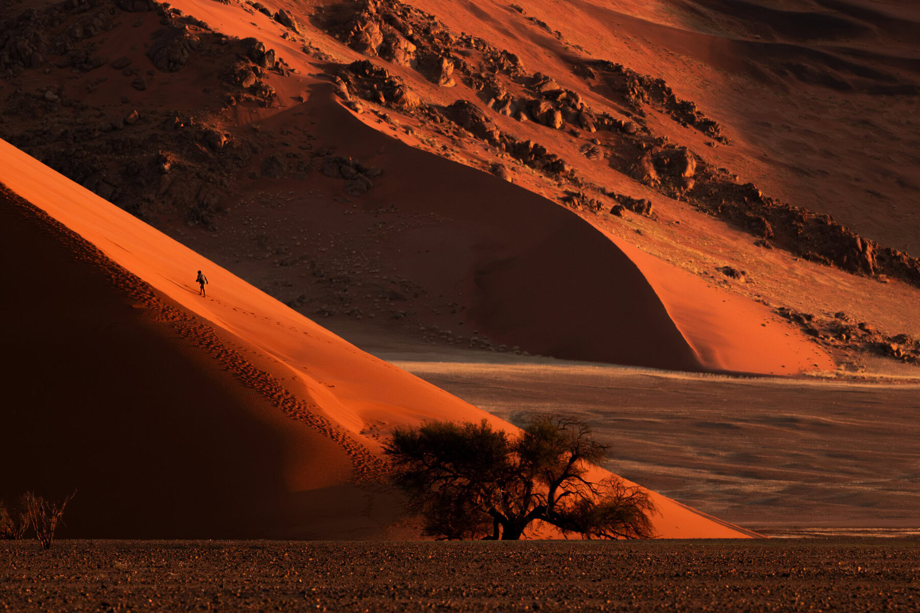 Le géant de sable