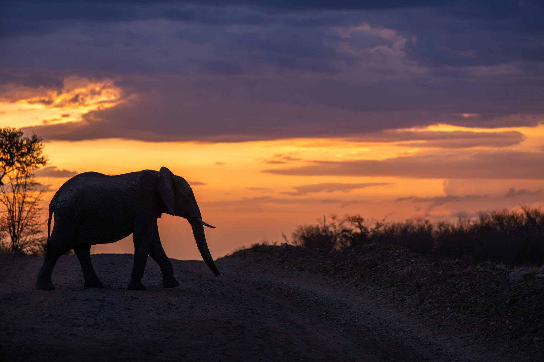Silhouette africaine